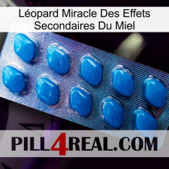 Léopard Miracle Des Effets Secondaires Du Miel viagra1